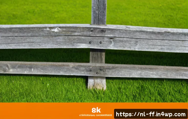 Gepersonaliseerde aanbevelingen kiezen: wanneer is hyperpersonalisatie de investering waard? 4 하이퍼 퍼스널라이제이션과 맞춤형 추천 시스템 관련 이미지 2